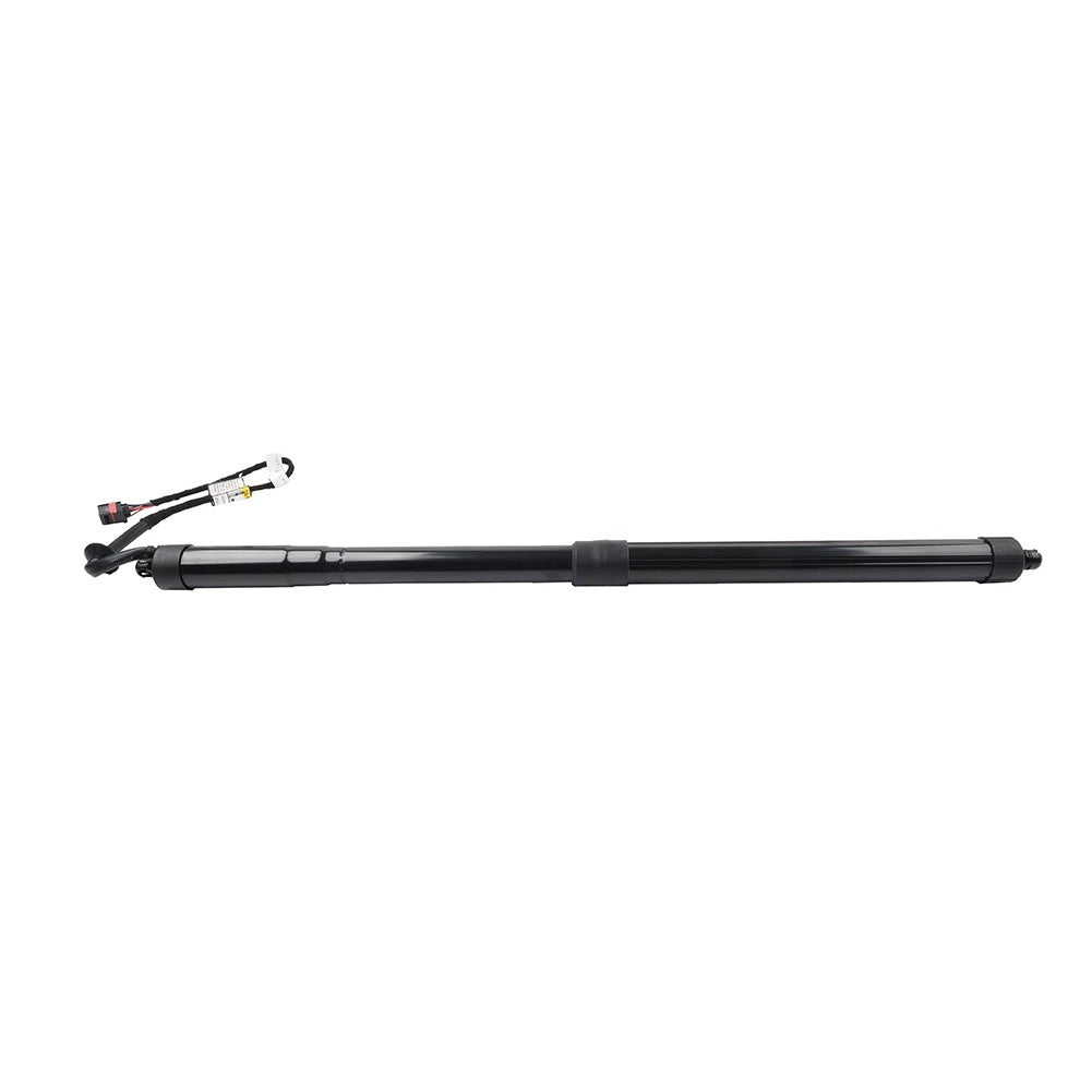 Trunk Lift Support for Land Rover Range Rover Sport (2005–2013)