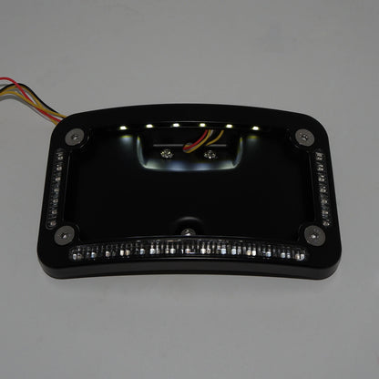 License Plate Frame Bracket w/ LED for Harley FLSTN (2005–2020)