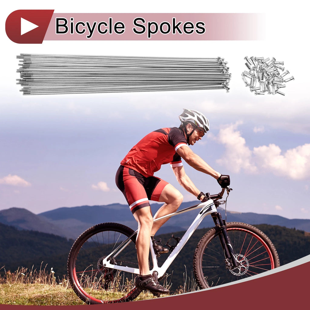 Bicycle Spokes 278mm Carbon Steel Set for 13G Wheel Rim (2000–2000)