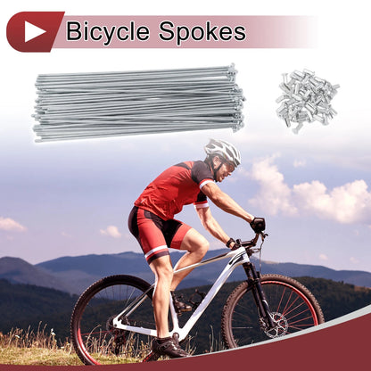 Bicycle Spokes Set 250mm Carbon Steel Galvanized for 10G Wheels (2011–2011)