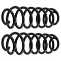 Pair Rear Left & Right Coil Spring for VW Passat (2006–2018) 3C0511115AD