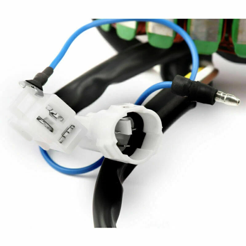Generator Stator Coil for Yamaha TTR225 XT225 (1999–2007)
