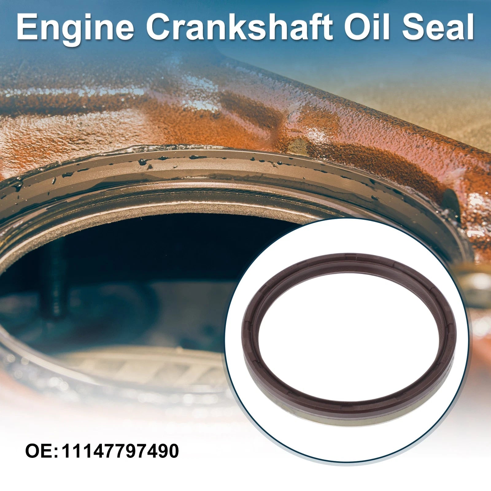 Rear Crankshaft Oil Seal Replacement for BMW 3 Series (2004–2019)