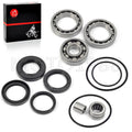 Rear Differential & Axle Bearing & Seal Kit for Honda TRX 300 (1988–2000)