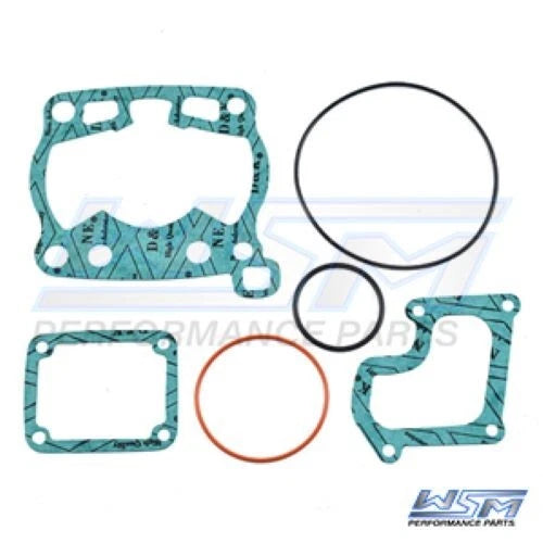 Gasket Kit for WSM