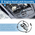 Hood Latch Assembly Replacement for Volkswagen GTI Hatchback (2006–2008)