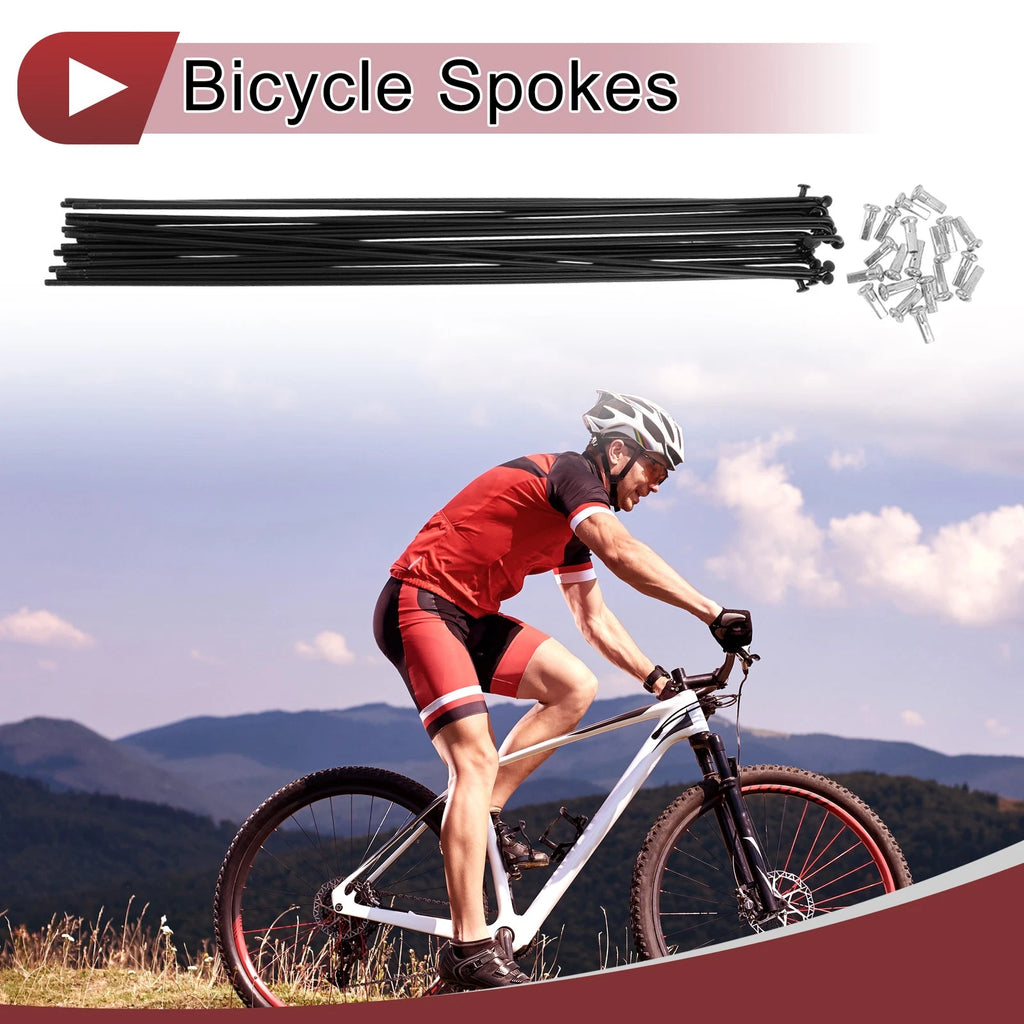 Bicycle Wheel Spokes Carbon Steel Black 293 mm Set for 12G (20)