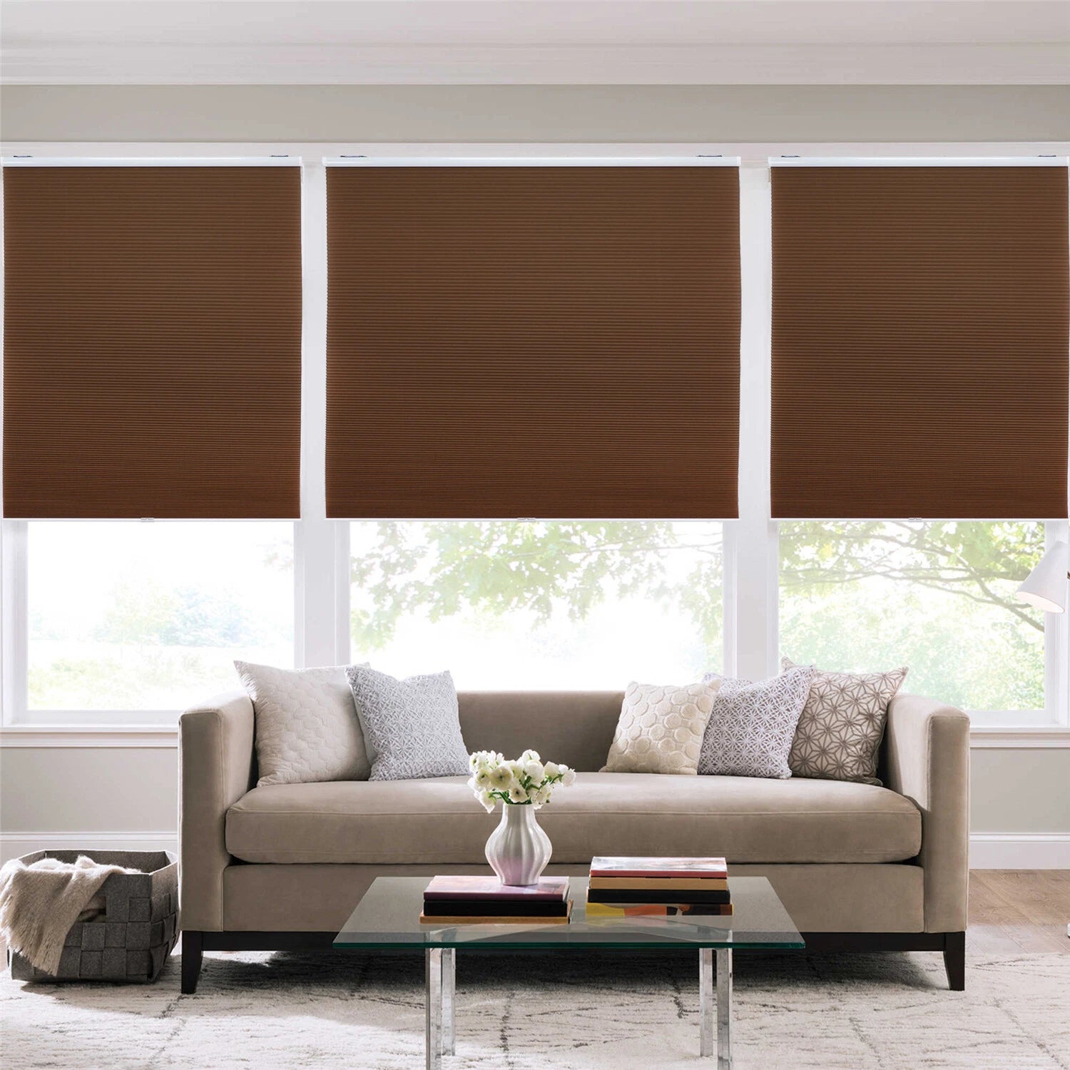 Cordless Cellular Shades for Window (44" W x 48" H)