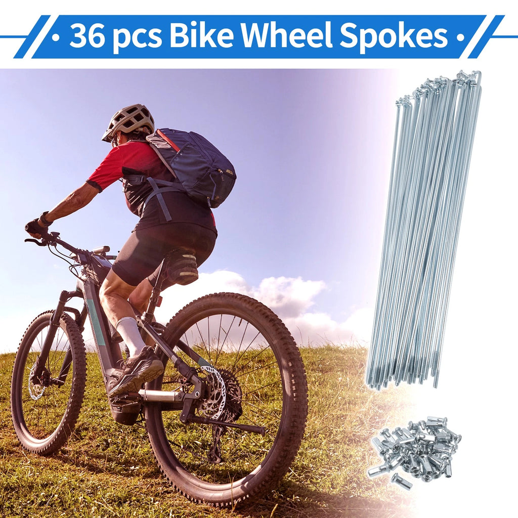Bicycle Spokes Nipple Replacement Set 12G 210mm for Universal (All Makes)