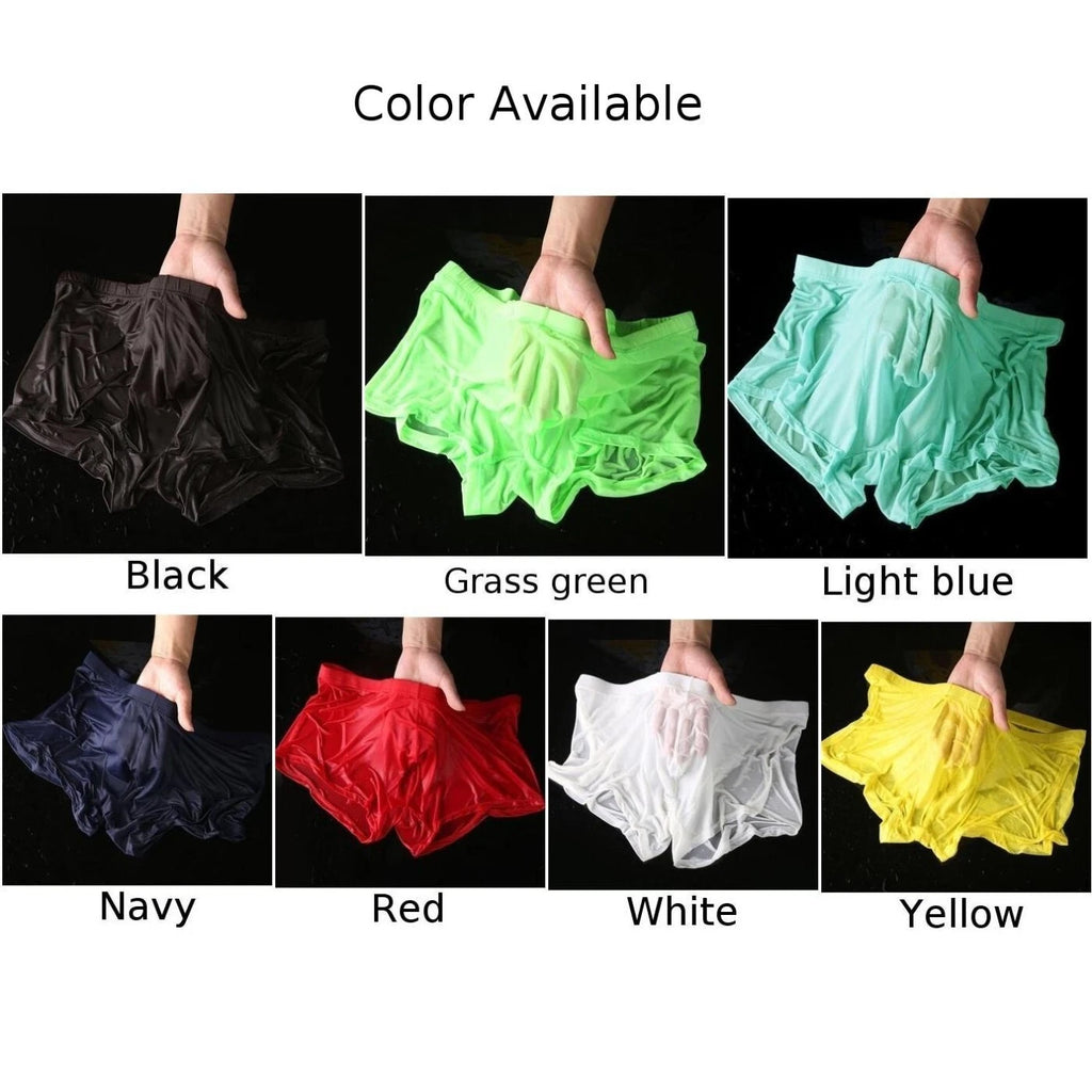 2X Sheer Mesh Boxer Briefs for Men - See Through Trunks