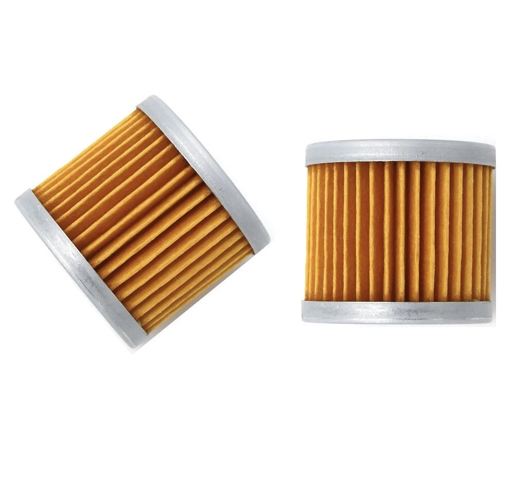 2X Oil Fuel Filter for Suzuki DF 9.9 15 8 HP 4 Stroke (16510-05240, 16510-45H10)