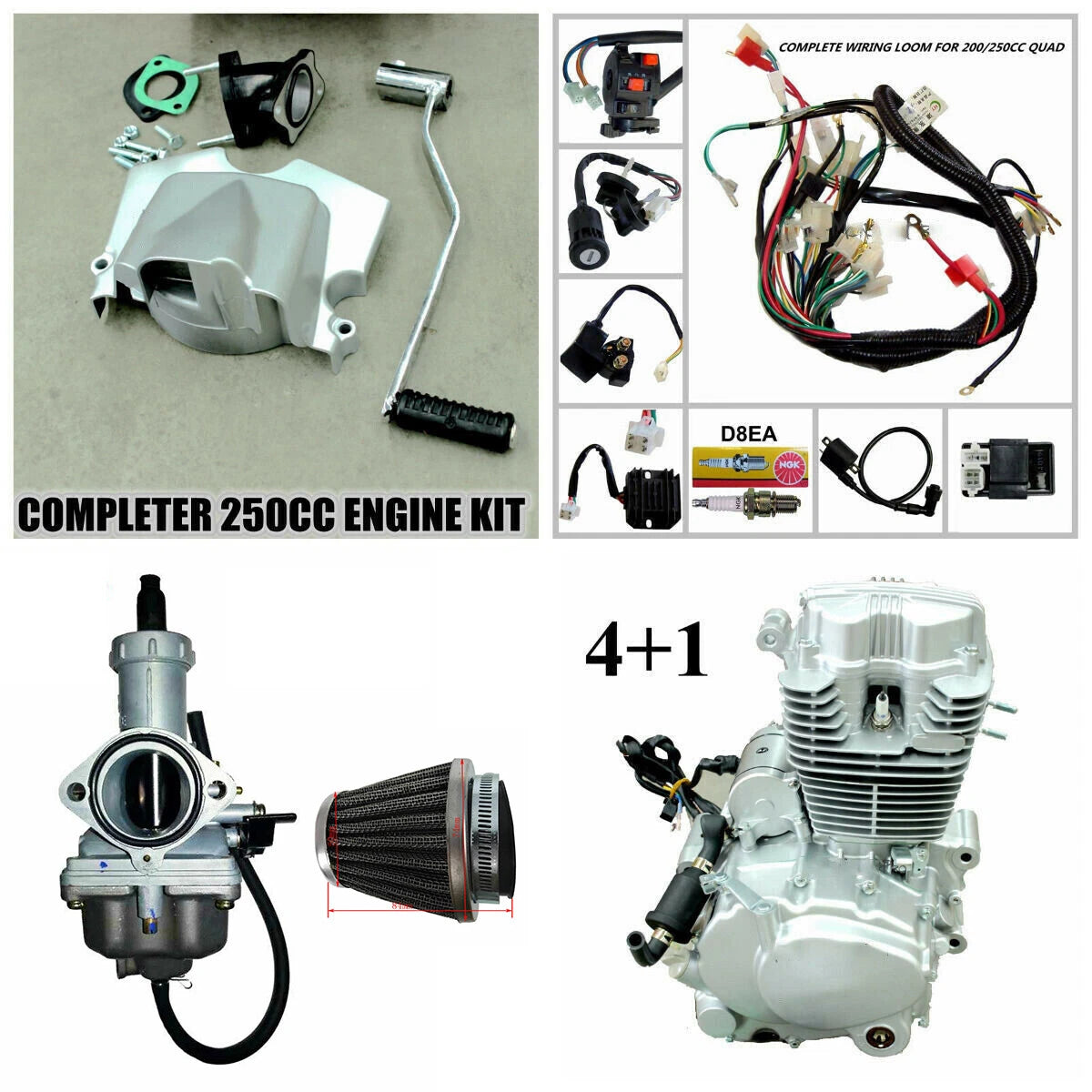 250cc Air Cooled Engine for Zongshen Motorbike (Chinese Bikes)