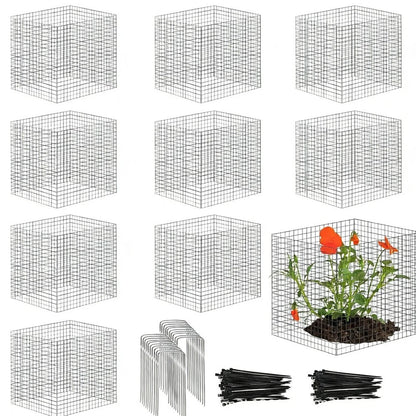 Wire Plant Protector Mesh Cage for Garden Vegetables and Shrubs