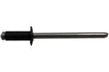 OEM Rivet for Harley-Davidson (8692)