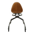 Passenger Backrest Sissy Bar Luggage Rack for Indian Scout Sixty (2016–2024)