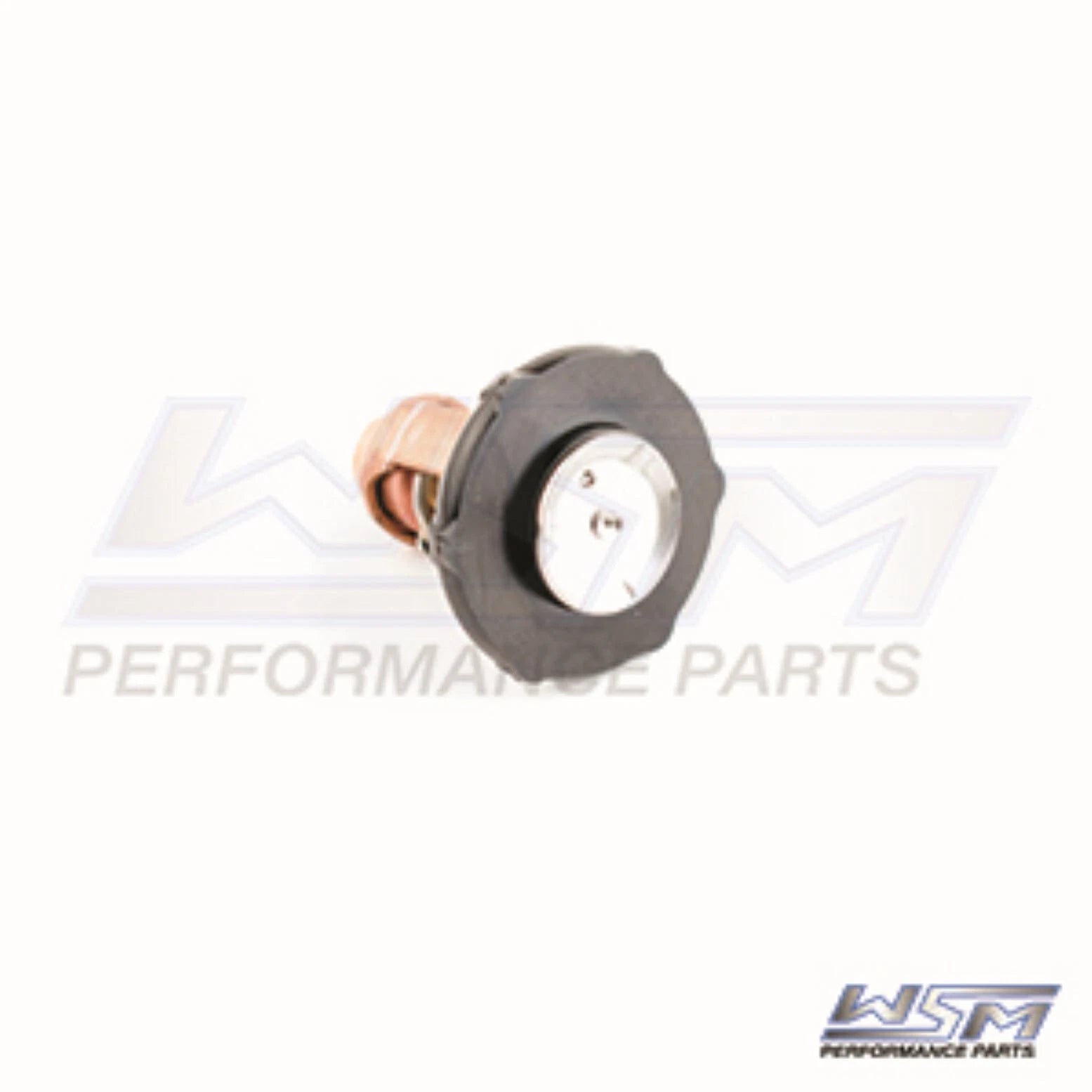 WSM Thermostat for Yamaha 115 Hp 4-Stroke (2014–2023) 775-245