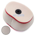 Air Filter Element for Bosuer BSE M5 M-5 250L (2019)