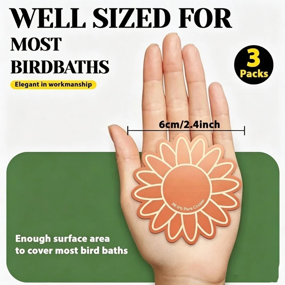 3 Piece Outdoor Bird Bath Cleaner Set for Water Pool Maintenance