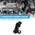Crankshaft Position Sensor Replacement for Honda Civic VII 1.6i (2001–2005)