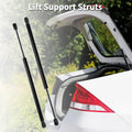 Rear Hatch Lift Supports Struts for Ford Focus Hatchback (2003–2007)