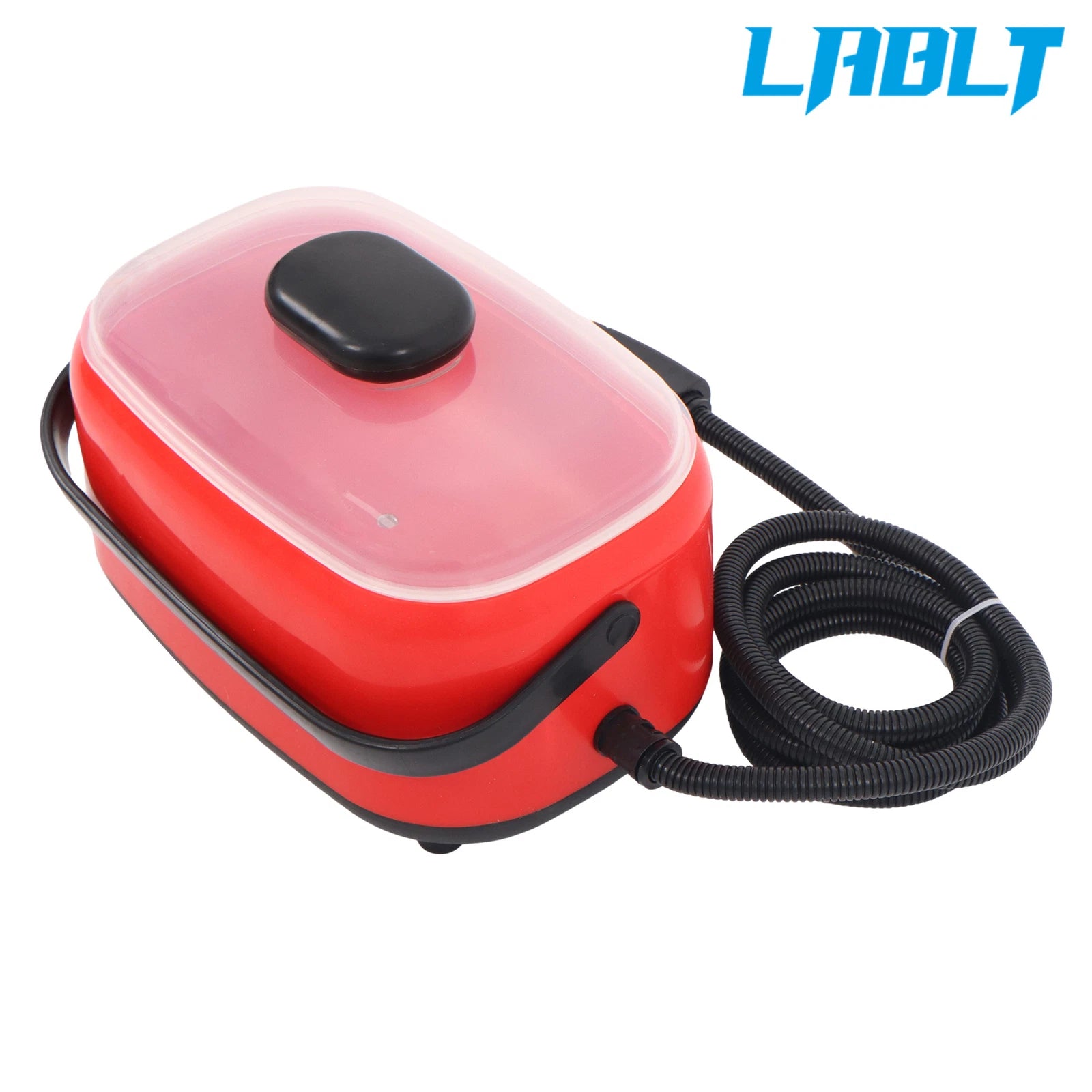 Steam Cleaner for LABLT 2500W (110V)