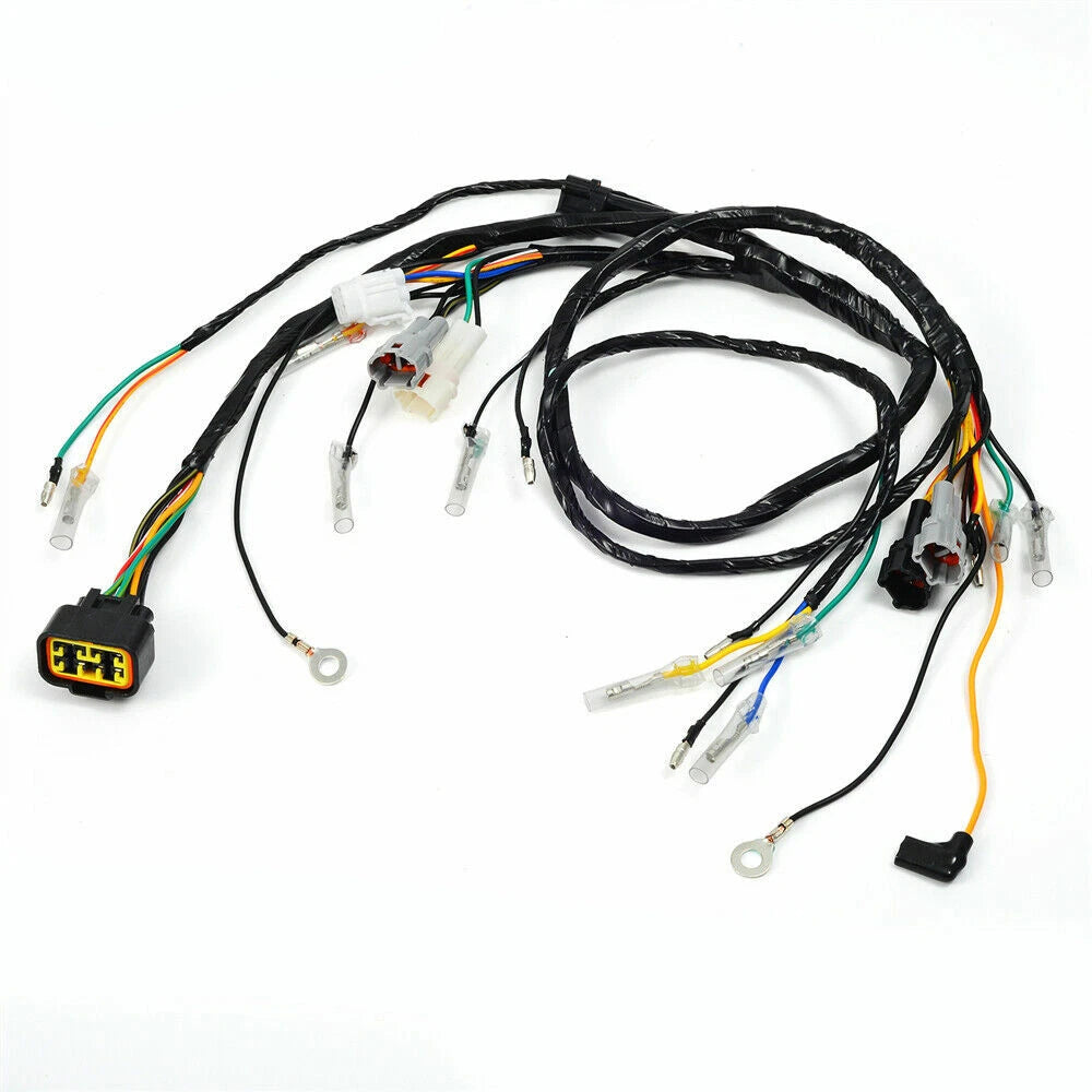 Electrical Wiring Harness for Yamaha YFS200 (2003–2006)