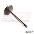 WSM Intake Valve for