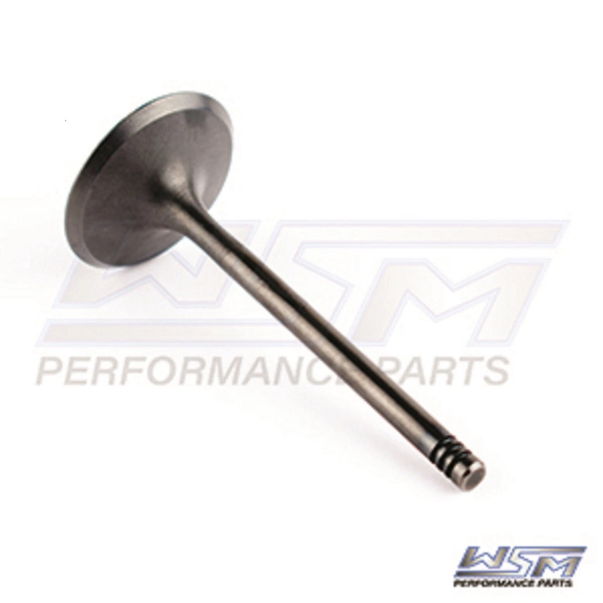 WSM Intake Valve for