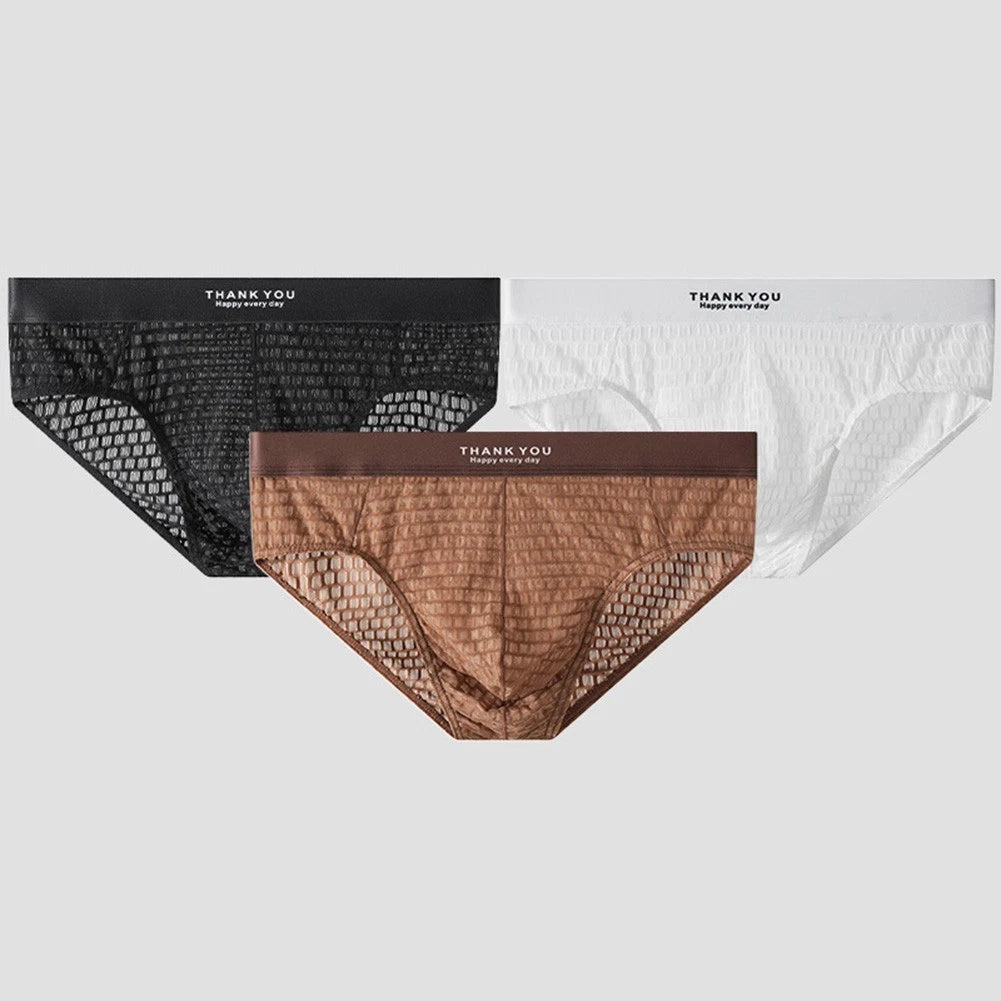 2X See Through Low Rise Mesh Briefs with U Pouch for Men