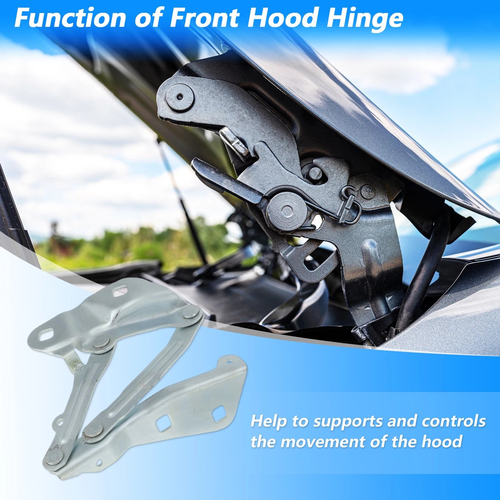 Front Hood Hinge Replacement for Ford Transit-150 Transit-250 Transit-350 (2015–2023)