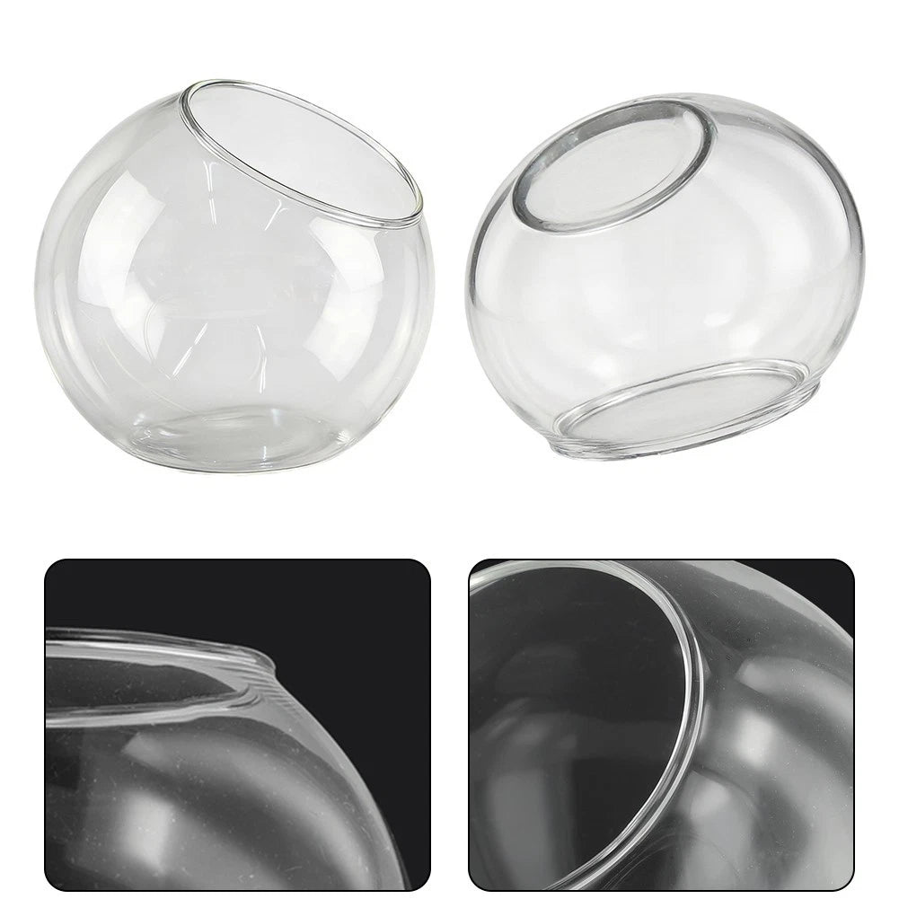 Clear Terrarium Bauble for Tabletop Plant Display