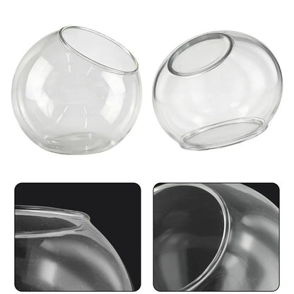 Clear Terrarium Bauble for Tabletop Plant Display