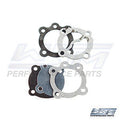 Fuel Pump Repair Kit for WSM 8-15 HP (600-125-07)