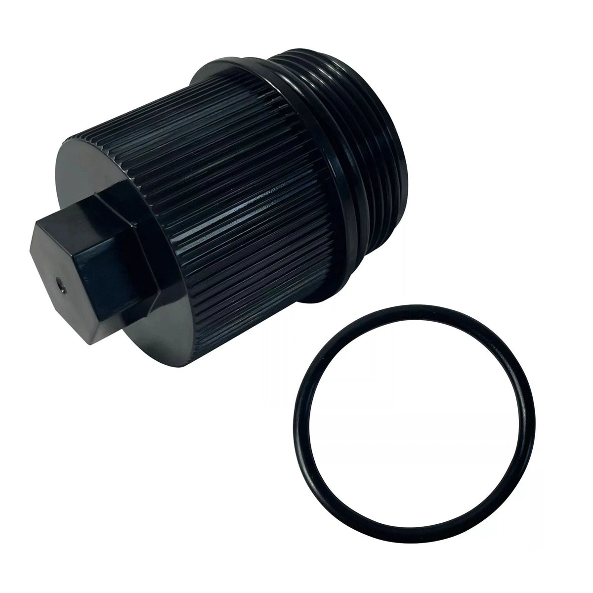 Filter Drain Plug for Pentair Clean & Clear Plus (190030)