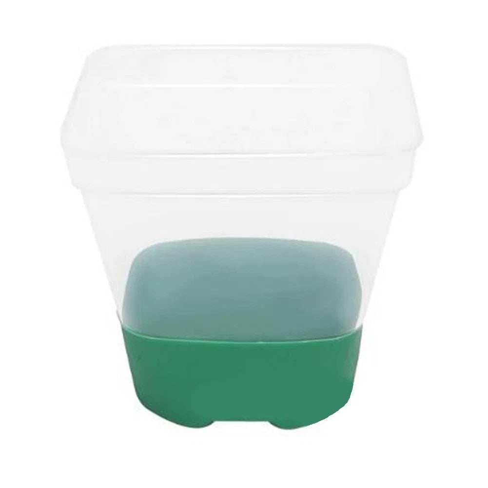 12X Reusable Clear Plant Pots with Drain Holes and Labels