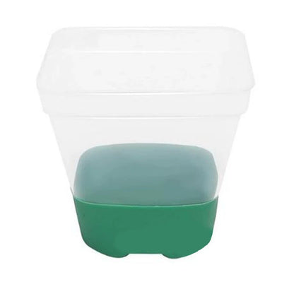 12X Reusable Clear Plant Pots with Drain Holes and Labels