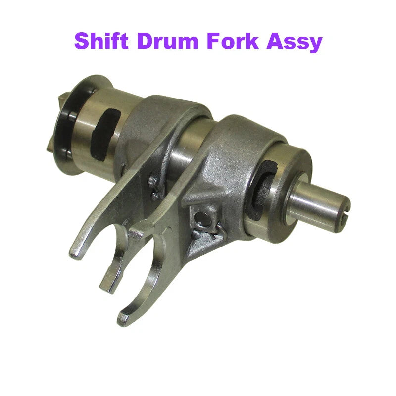 Shift Drum Fork Assembly for Daytona Anima FDX FLX 190cc (2019–2023)