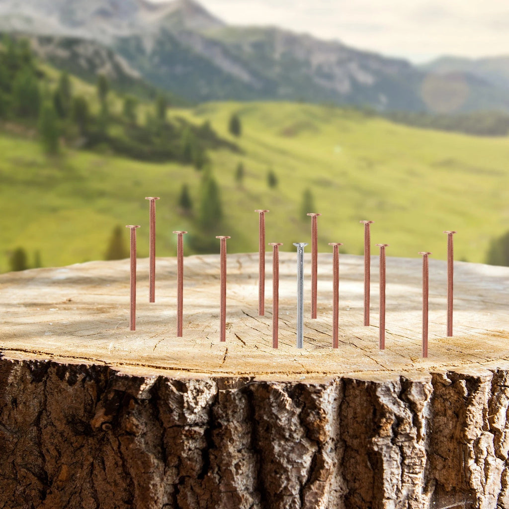 Copper Nails for Stump Removal Projects (Landscaping Tools)