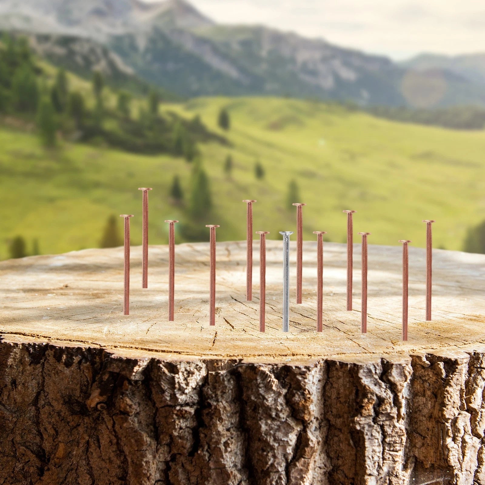Copper Nails for Stump Removal Projects (Landscaping Tools)