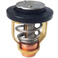 Thermostat for Yamaha 20 25 HP F20F F20G F25G 6FM-12411-00-00
