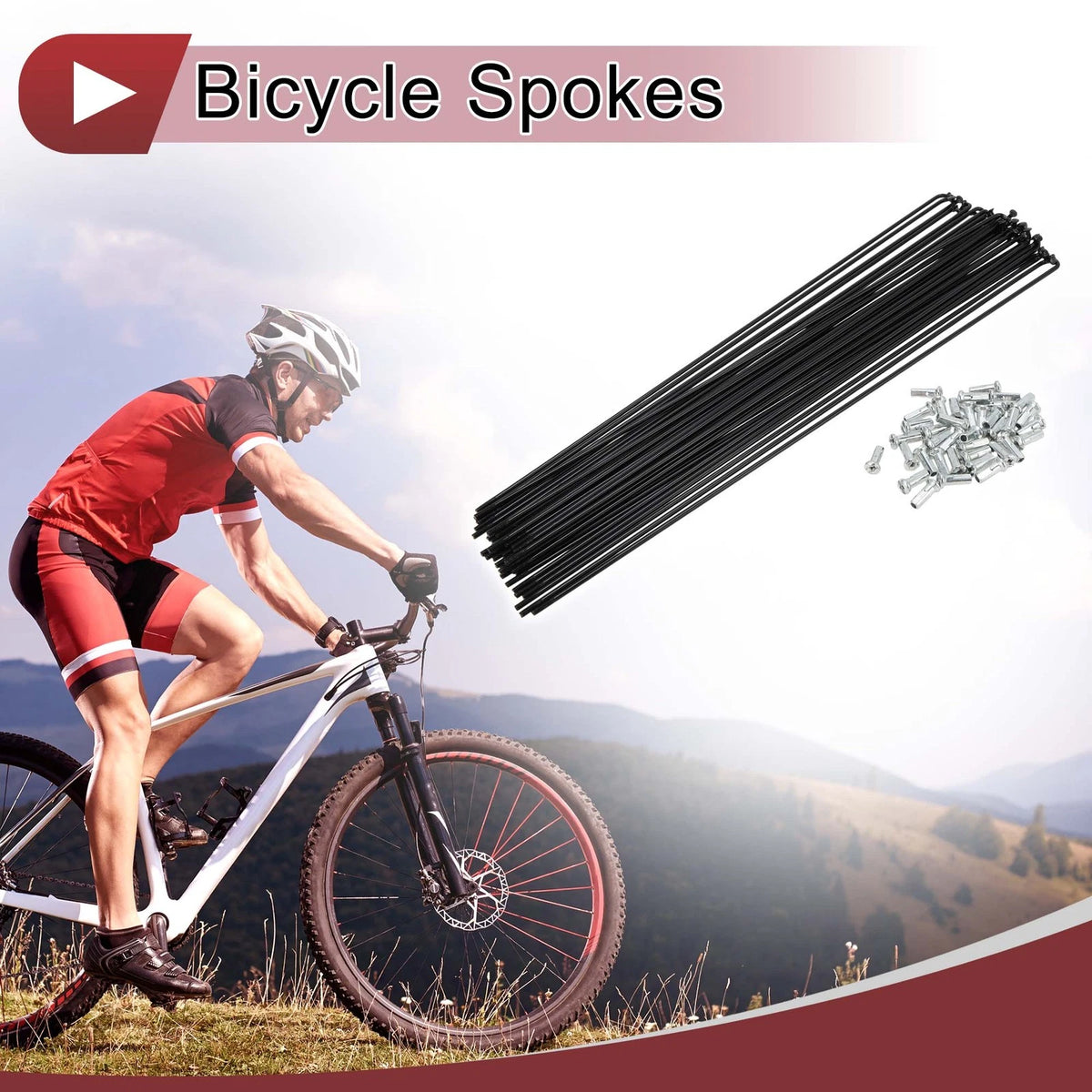 Bicycle Spoke Set 13G 289mm Carbon Steel Black for Bike Wheels