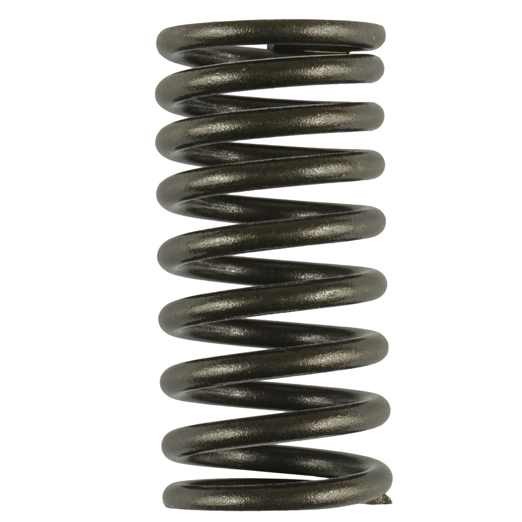 Valve Spring for Honda Foreman Rubicon 500 2001–2014