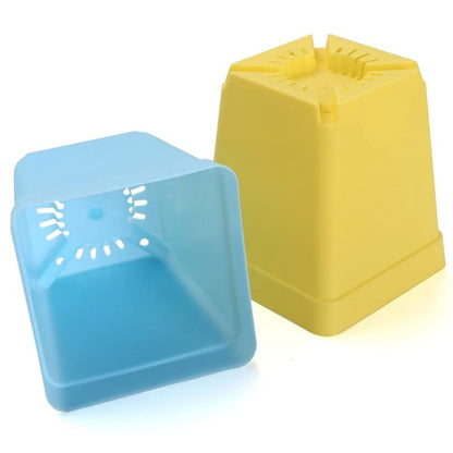 12PCS Mini Square Plant Flower Pot with Trays for Indoor Gardening