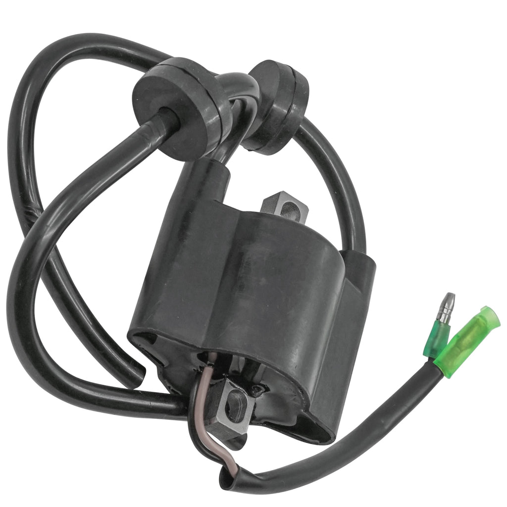 Ignition Coil Replacement for Mariner Outboard 15HP 4-Stroke (1998–2006)