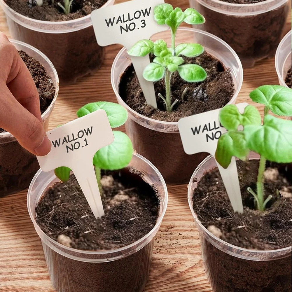 Transparent Pot Set of 8 with Drainage Holes for Plants
