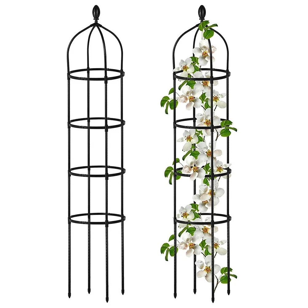 Round trellis for ivy and tomato plants