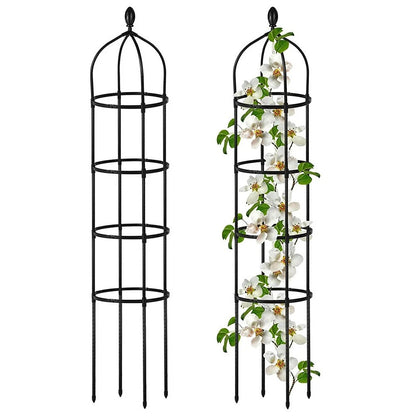 Round trellis for ivy and tomato plants