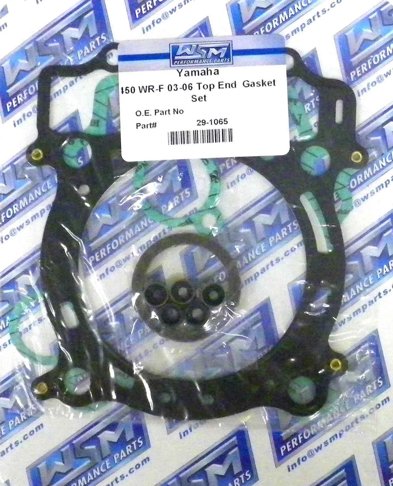 Gasket Kit for WSM