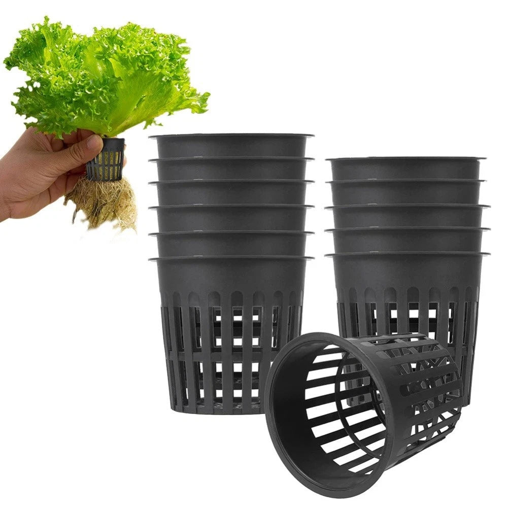 Compact Garden Mesh Pot 11cm - Excellent Water Drainage