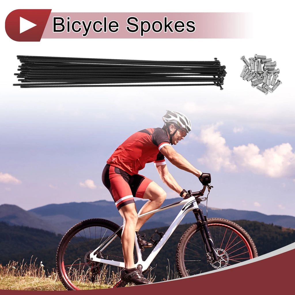 Bicycle Spokes Set 304 Stainless Steel 227mm for 13G Wheels (All Models)